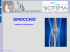 IL GINOCCHIO - Metropolitan Wellness Club