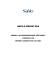 safilo group spa - Corporate-ir