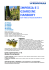 imperia ei giardini hanbury
