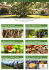 Natura e Gusto in Masseria