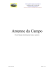 Antenne da Campo
