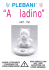 Istruzioni ALADINO