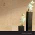 FIO_catalogo trax.indd