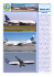 Gen 2004.pub - Clipper – Associazione Italiana Amici dell`Aviazione