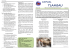 VAPUAL TLANGAU Vol 3. No.16