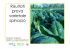 Clicca qui per accedere al file