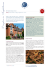 MMOSS brochure 2016