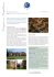 MM Oxford Pdf - Siti personali