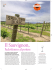 Il Sauvignon, - Marco Felluga
