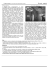 In storia – pagina 9 - GRANDUCATO.com