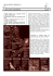 macaone_15_19