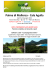 MAIORCA GOLF WEEK