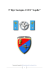 3° Rgt. Sostegno AVES “Aquila”
