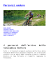 Percorsi enduro