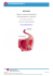 visualizza pdf - Trombosi