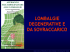 Lombalgie degenerative e da sovraccarico