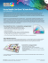 Process Metallic Color Charts (IT-LR) - Color