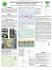 DETERMINATION OF TRICYCLAZOLE IN RICE GRAIN: RESIDUAL
