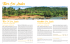 Tour Sri Lanka - I VIAGGI DELL` AIRONE