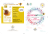 Musica%20in%20Fiera%202016b