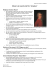 Mozart e le musiche del film &ldquo;Amadeus&rdquo;