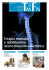 Terapia manuale e riabilitazione neuro-muscolo-scheletrica