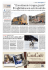 20130111_LA STAMPA_LA THUILE_Telethon+Dogsledman