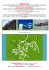 Nadir Sandrini +39.335.6159502 http://www.capacidifuturo.it e