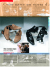 ULISSE ALITALIA MAGAZINE ARTICLE ABOUT