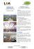 edimburgo (uk) telford college - LIA