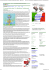 Report on line_intervista