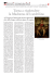338 La Madonna del cardellino:Layout 1