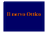 Presentazione di PowerPoint