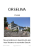 orselina - Specogna Holding