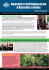 Newsletter dell`Ambasciata d`Australia a Roma – Edizione luglio