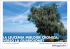 stampa:Layout 1 - Studio ER Congressi