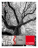 Catalogo generale IT/GB