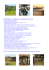 ITINERARIES: Starting trom San Gimignano (Siena), Italy