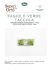 FAGIOLO VERDE TACCOLA