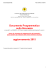 Piano 313 DPS aggiornamento 2015