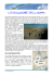 l`evoluzione dell`uomo