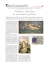 pdf - Fondazione Internazionale Menarini