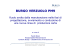 Burgo - IEN Italia