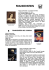1-Frankenstein di Mary Shelley (1818)