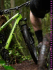 Fpo - PLANET BIKE
