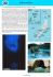 isole di palau - Pan Pacific Tours