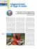 Cinquant`anni di Flygt in Italia