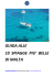 GUIDA ALLE 10 SPIAGGE DI MALTA E GOZO. pdf