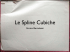 Le Spline Cubiche