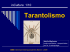 tarantolismo